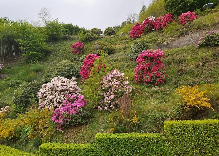 罗思澄堂勒酒店 酒店